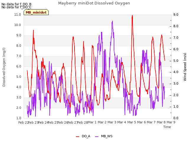 plot of Mayberry miniDot Dissolved Oxygen