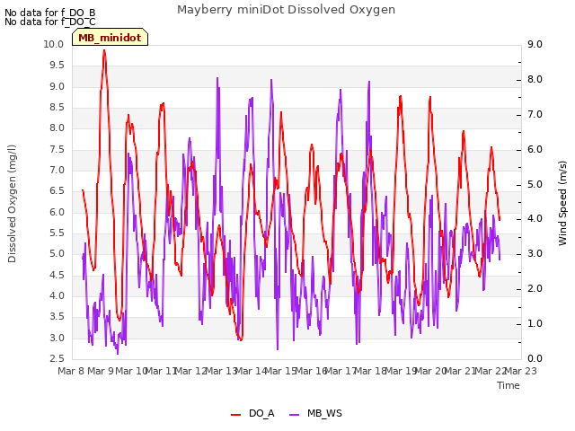 plot of Mayberry miniDot Dissolved Oxygen