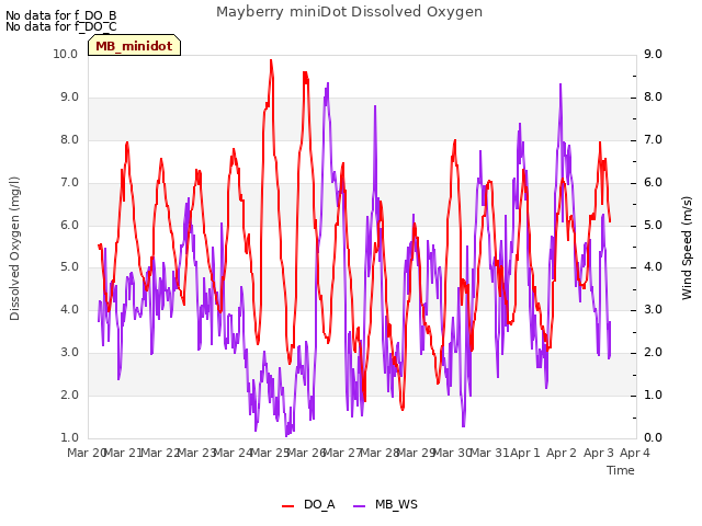 plot of Mayberry miniDot Dissolved Oxygen