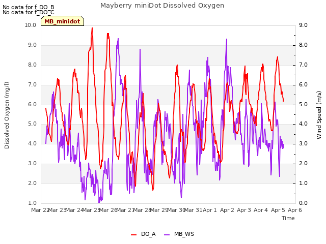 plot of Mayberry miniDot Dissolved Oxygen