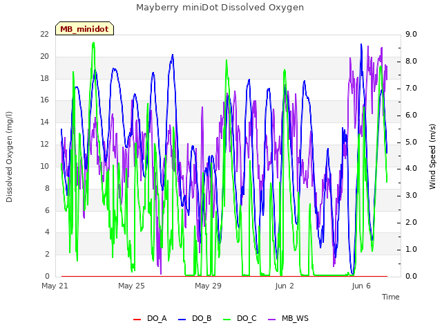 Explore the graph:Mayberry miniDot Dissolved Oxygen in a new window