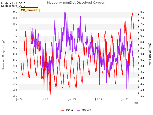 Explore the graph:Mayberry miniDot Dissolved Oxygen in a new window