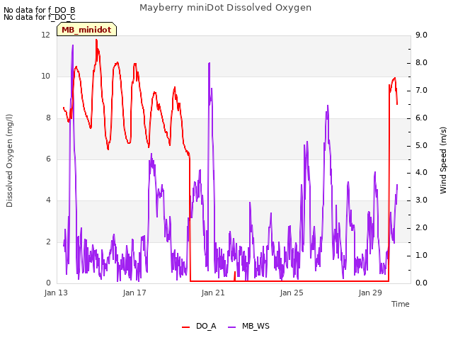 Explore the graph:Mayberry miniDot Dissolved Oxygen in a new window