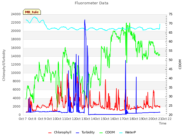 plot of Fluorometer Data
