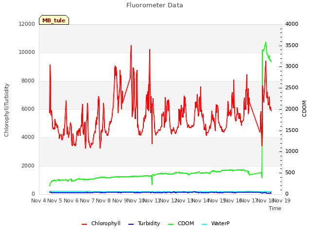 plot of Fluorometer Data