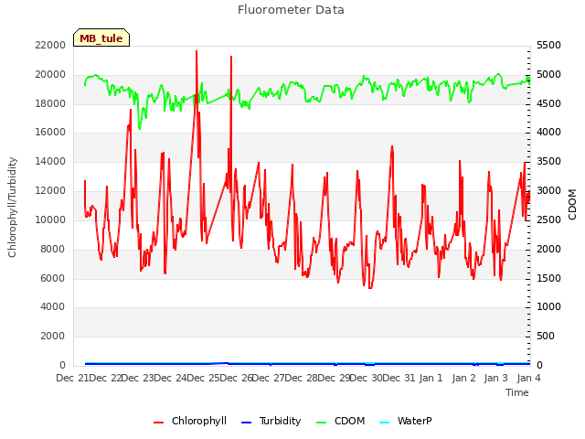 plot of Fluorometer Data