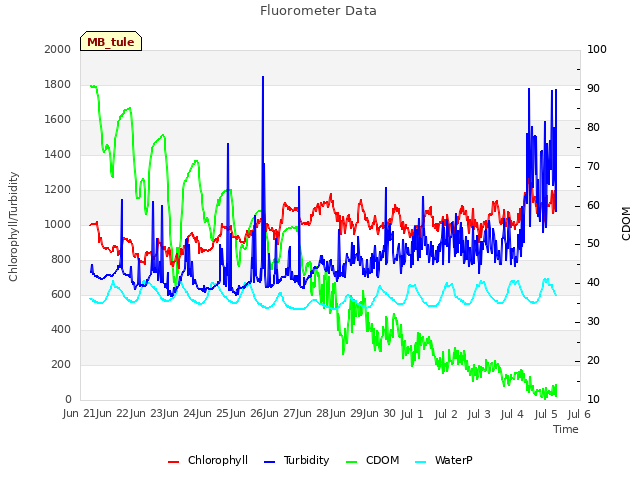 plot of Fluorometer Data