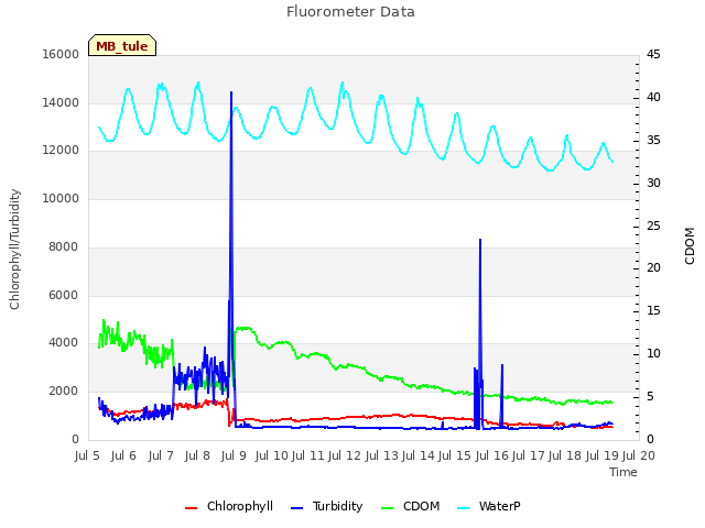 plot of Fluorometer Data