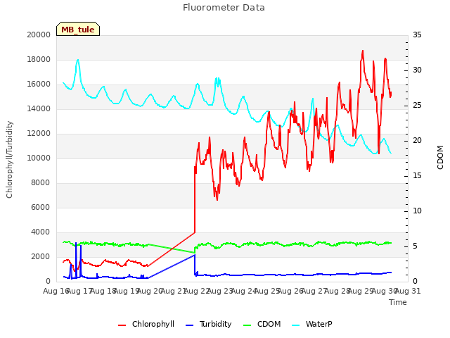 plot of Fluorometer Data
