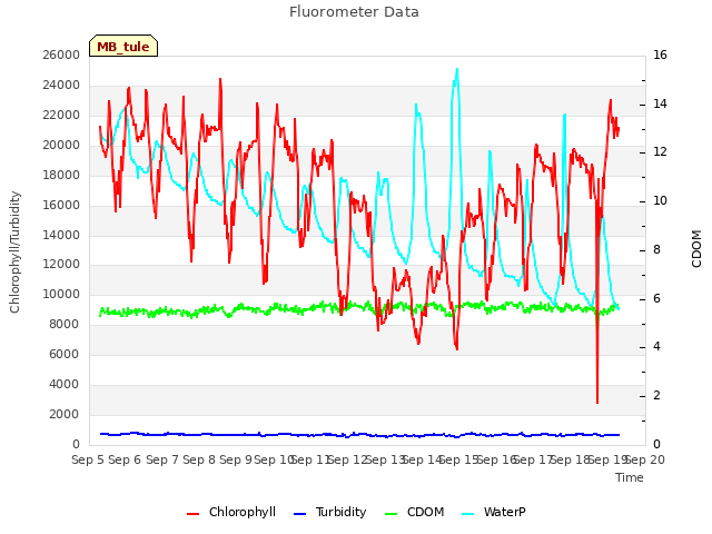 plot of Fluorometer Data