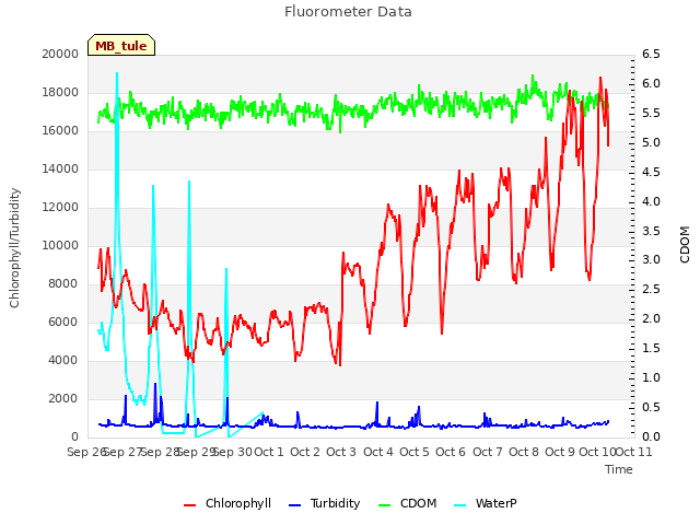 plot of Fluorometer Data