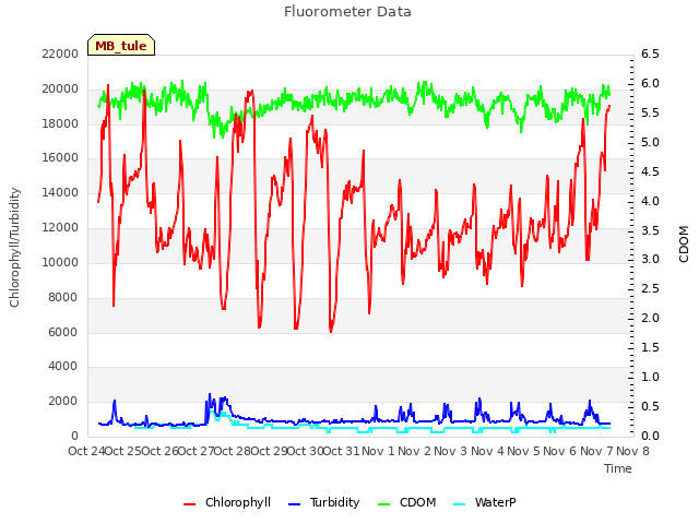 plot of Fluorometer Data