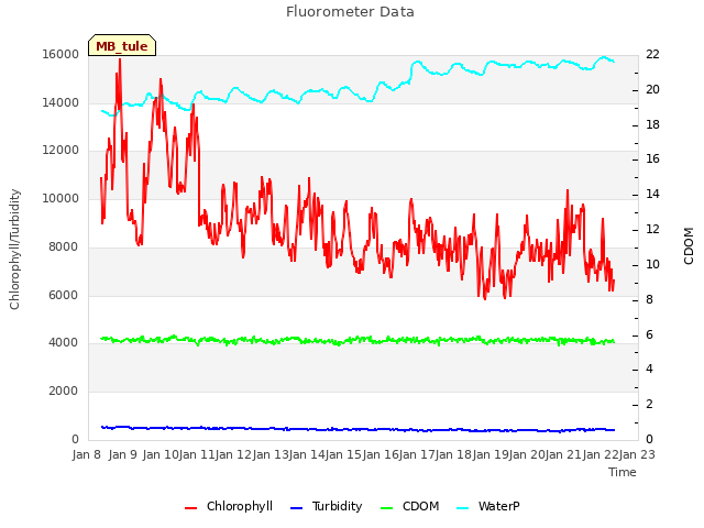 plot of Fluorometer Data