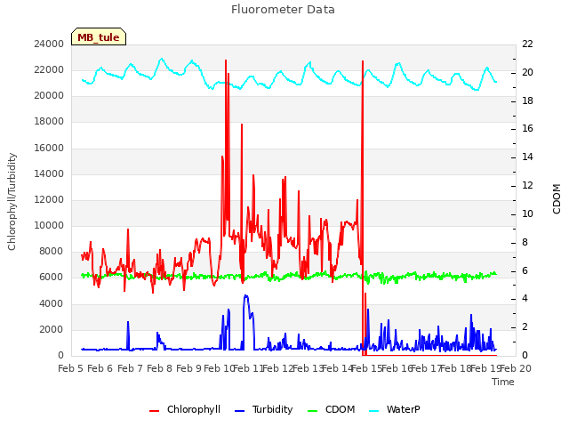 plot of Fluorometer Data