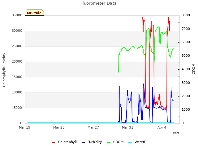 Explore the graph:Fluorometer Data in a new window