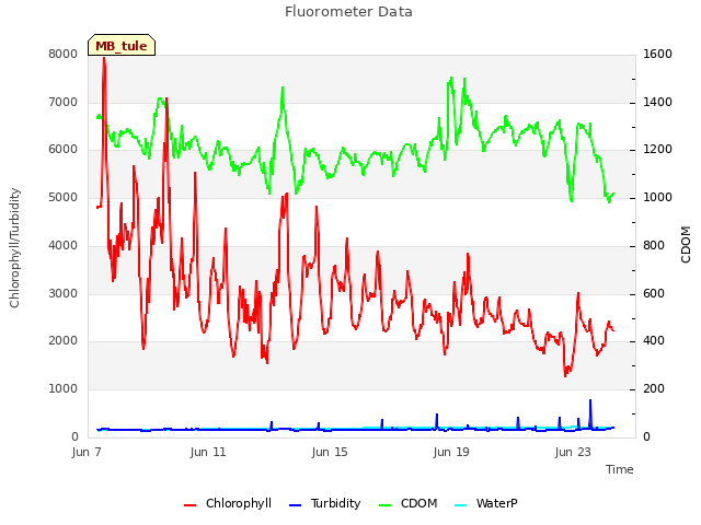Explore the graph:Fluorometer Data in a new window