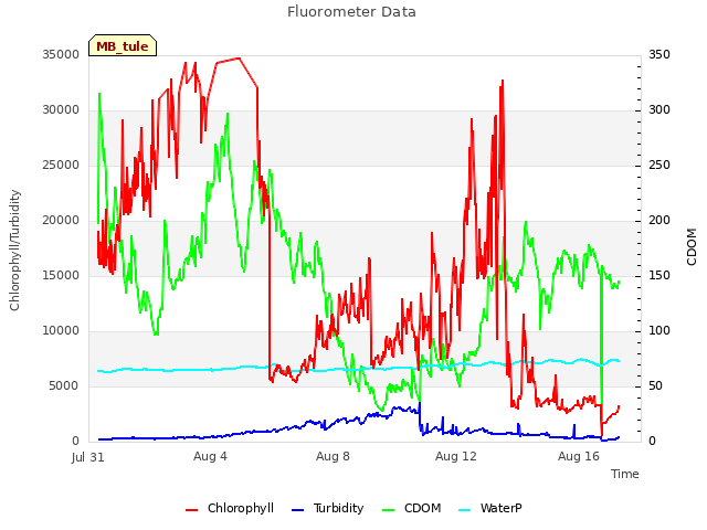 Explore the graph:Fluorometer Data in a new window