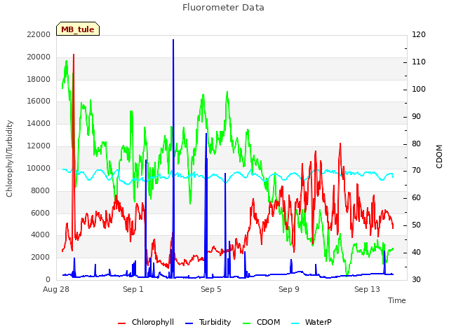 Explore the graph:Fluorometer Data in a new window