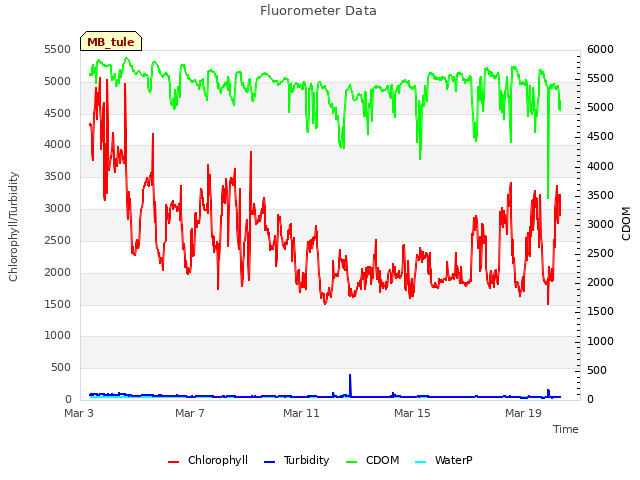 Explore the graph:Fluorometer Data in a new window