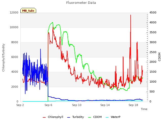 Explore the graph:Fluorometer Data in a new window