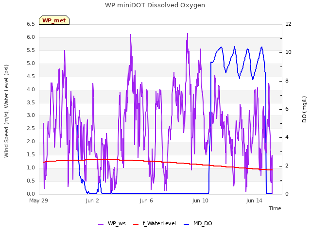 Explore the graph:WP miniDOT Dissolved Oxygen in a new window