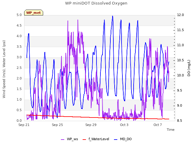 Explore the graph:WP miniDOT Dissolved Oxygen in a new window