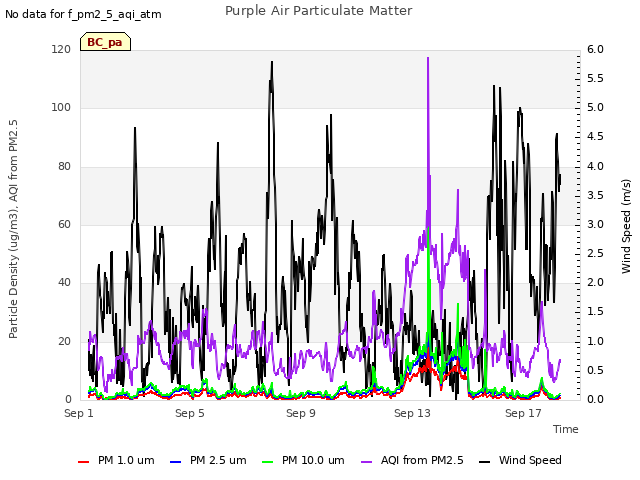 Explore the graph:Purple Air Particulate Matter in a new window