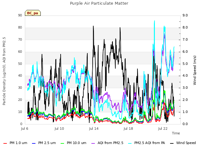Explore the graph:Purple Air Particulate Matter in a new window