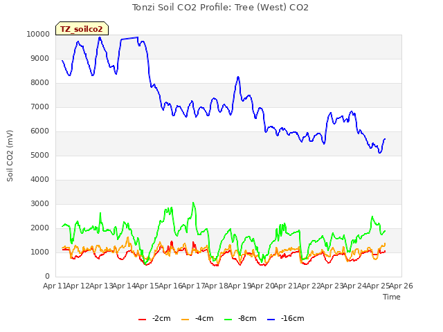 plot of Tonzi Soil CO2 Profile: Tree (West) CO2
