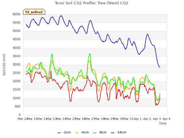 plot of Tonzi Soil CO2 Profile: Tree (West) CO2
