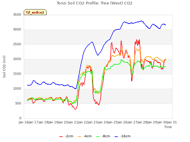 plot of Tonzi Soil CO2 Profile: Tree (West) CO2