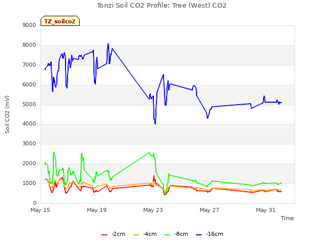 Explore the graph:Tonzi Soil CO2 Profile: Tree (West) CO2 in a new window