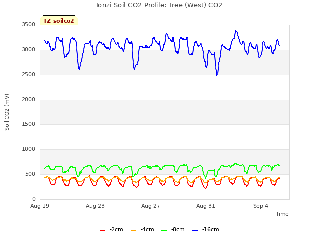 Explore the graph:Tonzi Soil CO2 Profile: Tree (West) CO2 in a new window
