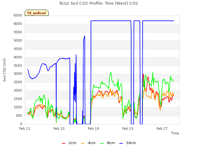 Explore the graph:Tonzi Soil CO2 Profile: Tree (West) CO2 in a new window