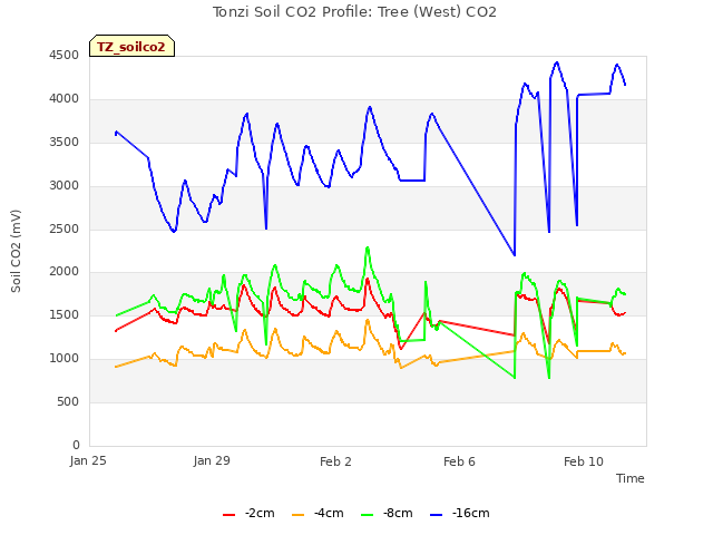Explore the graph:Tonzi Soil CO2 Profile: Tree (West) CO2 in a new window