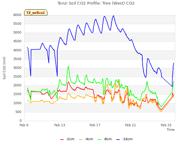 Explore the graph:Tonzi Soil CO2 Profile: Tree (West) CO2 in a new window