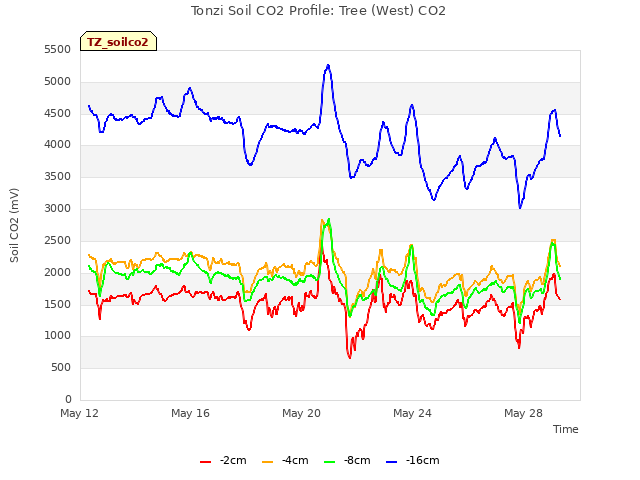Explore the graph:Tonzi Soil CO2 Profile: Tree (West) CO2 in a new window
