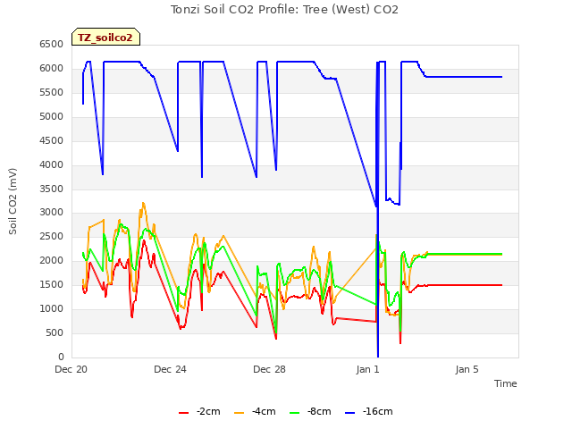 Explore the graph:Tonzi Soil CO2 Profile: Tree (West) CO2 in a new window