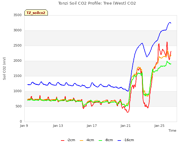 Explore the graph:Tonzi Soil CO2 Profile: Tree (West) CO2 in a new window