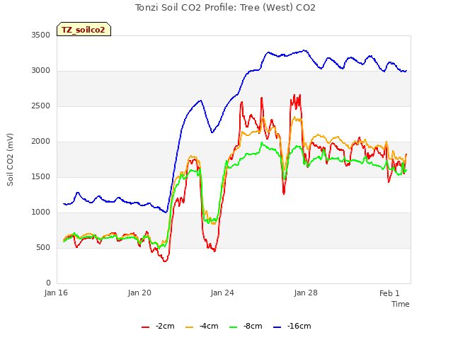 Explore the graph:Tonzi Soil CO2 Profile: Tree (West) CO2 in a new window