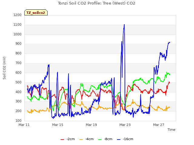 Explore the graph:Tonzi Soil CO2 Profile: Tree (West) CO2 in a new window