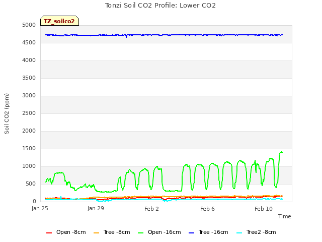 Explore the graph:Tonzi Soil CO2 Profile: Lower CO2 in a new window