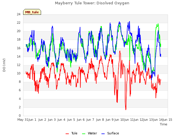 plot of Mayberry Tule Tower: Disolved Oxygen