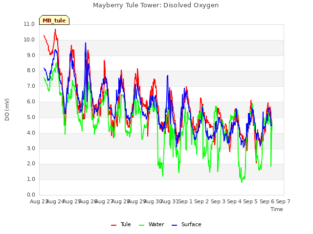 plot of Mayberry Tule Tower: Disolved Oxygen