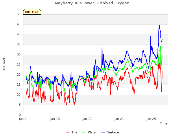 Explore the graph:Mayberry Tule Tower: Disolved Oxygen in a new window