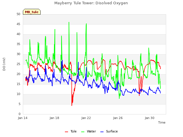 Explore the graph:Mayberry Tule Tower: Disolved Oxygen in a new window