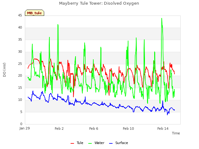 Explore the graph:Mayberry Tule Tower: Disolved Oxygen in a new window