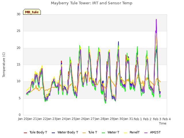 plot of Mayberry Tule Tower: IRT and Sensor Temp