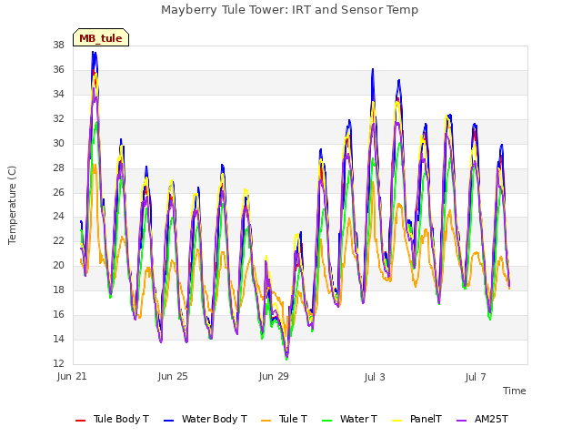 Explore the graph:Mayberry Tule Tower: IRT and Sensor Temp in a new window