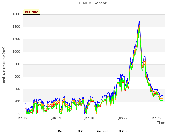 Explore the graph:LED NDVI Sensor in a new window